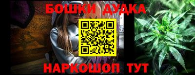 шишки Донской