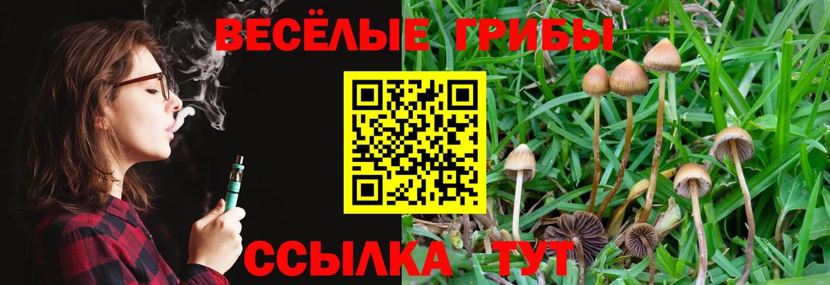 Галлюциногенные грибы GOLDEN TEACHER Курчалой
