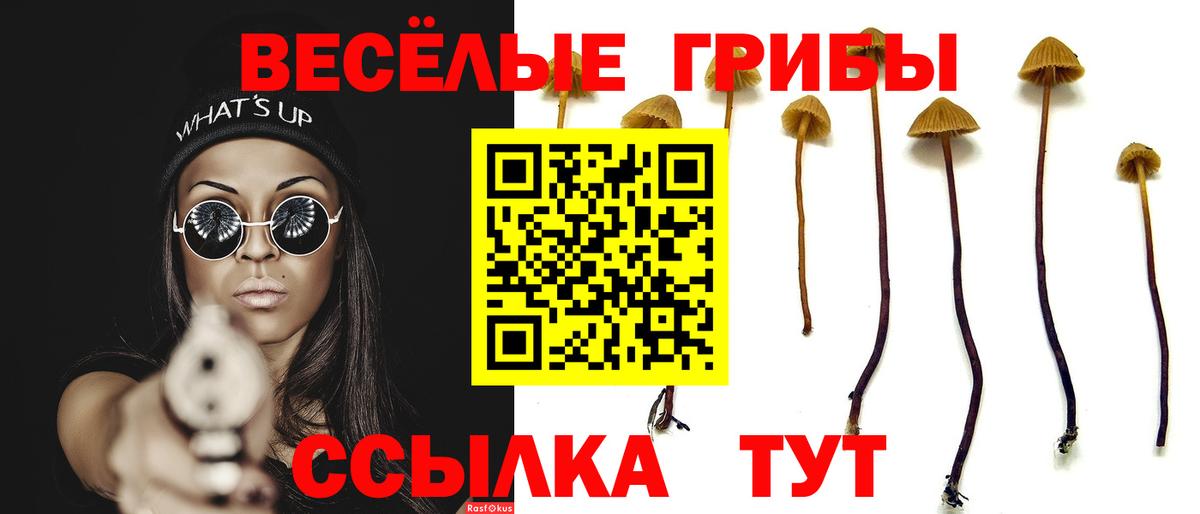 Галлюциногенные грибы MAGIC MUSHROOMS  Вход с VPN  Курчалой  Псилоцибиновые грибы MAGIC MUSHROOMS 