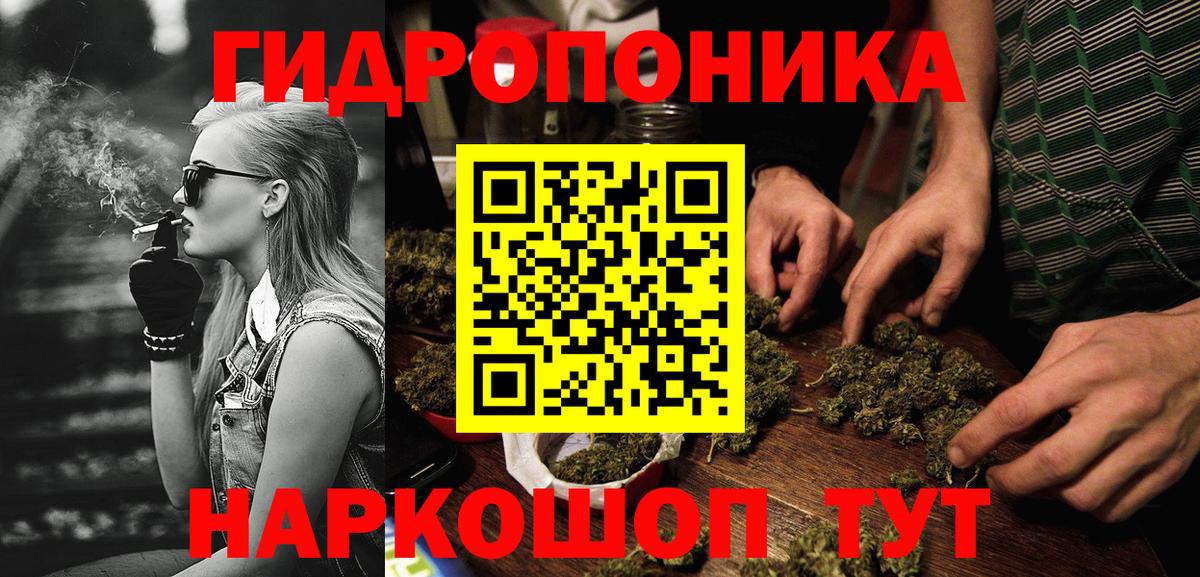Бошки марихуана гибрид Курчалой